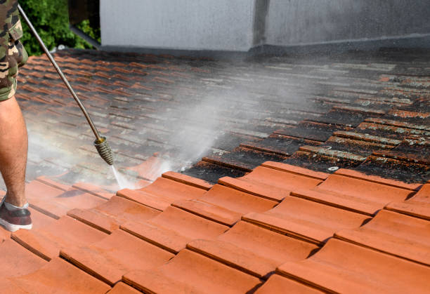 Best Exterior Home Cleaning  in Sauk Rapids, MN